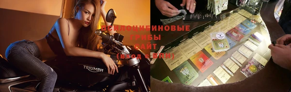 дурь Новозыбков