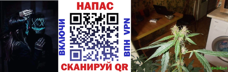 kraken ТОР  Ветлуга  Бошки Шишки OG Kush 